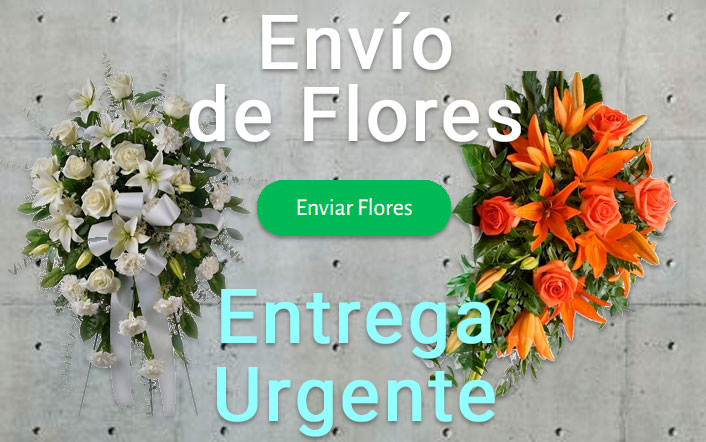 Envío de Centros Funerarios urgente a los tanatorios, funerarias o iglesias de Alicante
